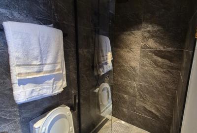 Serviced Studio Apartment with En Suite at Near Nairobi Hospital - 3