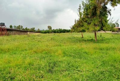 Land in Karen - 4