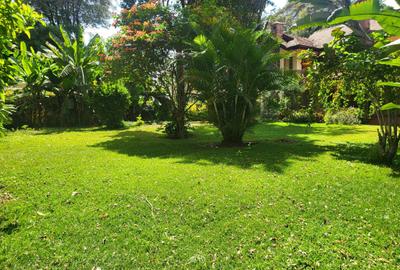 5 Bed Townhouse with En Suite in Rosslyn - 3