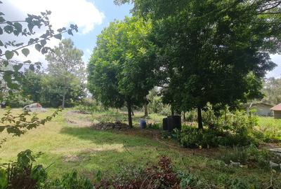 Land in Karen