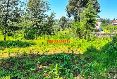 0.05 ha Residential Land at Ondiri - 3
