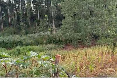 Land in Nyeri - 2