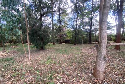 Land in Karen
