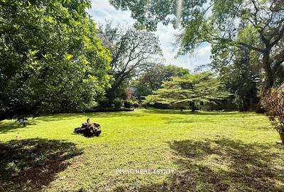 5 Bed House with Garden in Muthaiga - 4