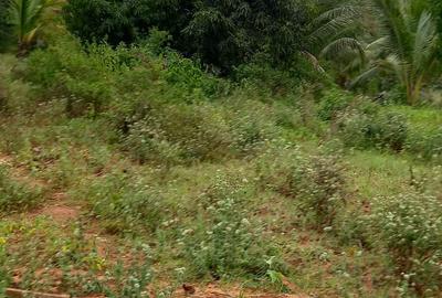 6 m² Land at Bomani - 2