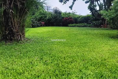Serviced 3 Bed Apartment with En Suite at Cement Road - 4