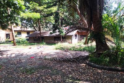0.95 ac Commercial Land in Hurlingham - 3