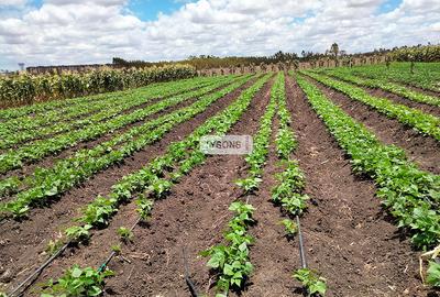 20 ac Commercial Land in Kisaju - 2