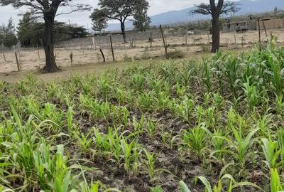 0.113 ac Residential Land in Ongata Rongai - 4