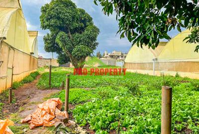 0.05 ha Residential Land at Ondiri - 4
