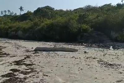 Land at Tiwi - 3