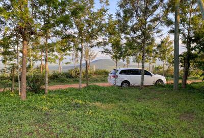 Land at Mua Hills - 3