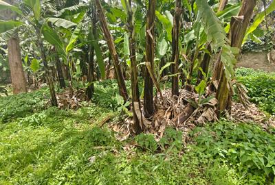 0.5 ac Land in Garden Estate