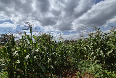 1.012 ha Land in Runda - 3