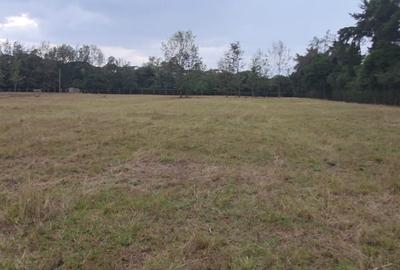 Land in Karen - 4