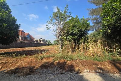0.25 ac Residential Land in Kiambu Road - 4