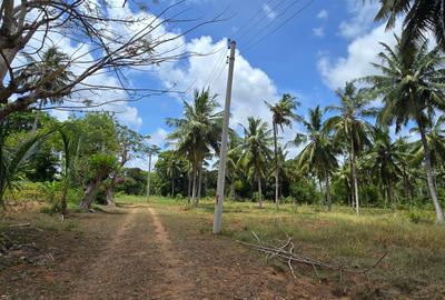 6 ac Land at Bomani - 4