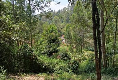 Land in Kitisuru