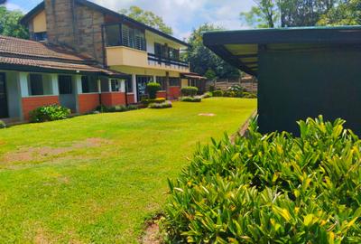 0.8 ac Commercial Property with Fibre Internet in Lavington - 2
