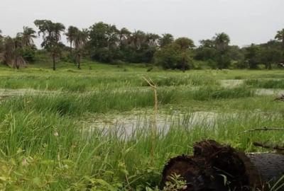 32 ac Land in Diani