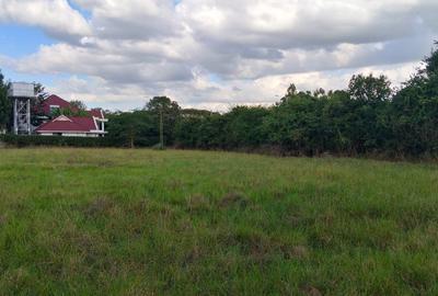 Land in Karen - 4