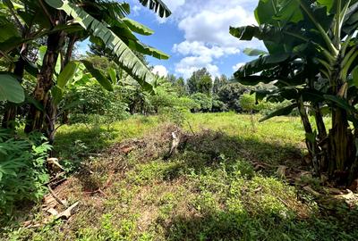 0.5 ac Land in Muthaiga