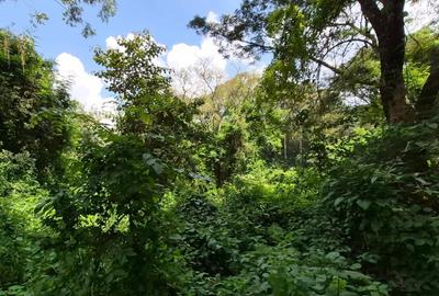 Commercial Land in Kitisuru - 4