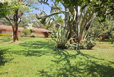 4 Bed House with En Suite in Runda - 4