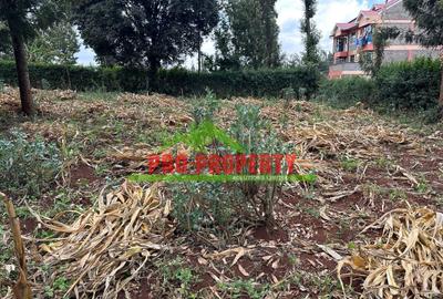 0.06 ha Land at Thogoto - 4