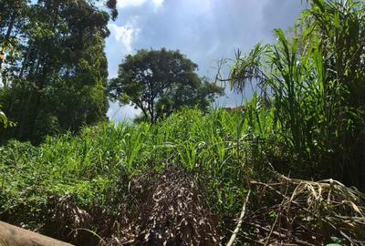 Commercial Land in Kitisuru - 3