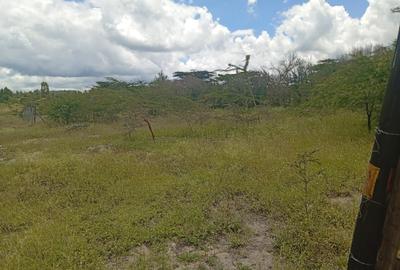0.125 ac Land at Kyumvi Junction - 2