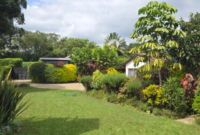 1 Bed House with En Suite in Spring Valley - 2