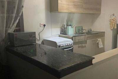 Furnished 1 Bed Apartment with Borehole at Raphta Road - 4