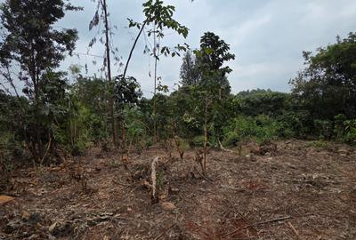 Land at Kiambu - 2