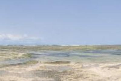 866,058 m² Commercial Land at Vipingo Beach - 3