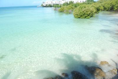 1 Bed Apartment with En Suite at 1St Avenue