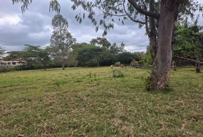 1 ac Residential Land at Kumbe Road - 3