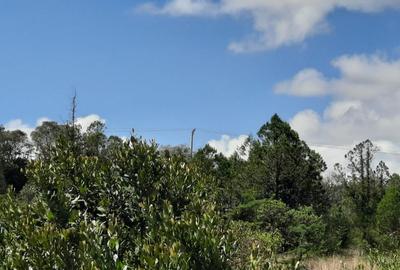 6 ac Land in Nanyuki - 2