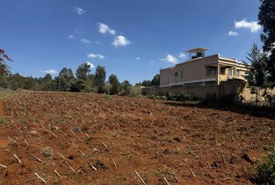 Land at Kibiku - 3