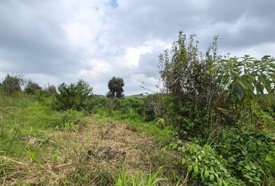 Commercial Land in Tigoni - 3