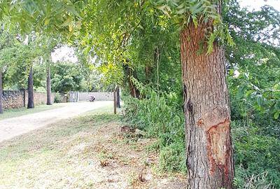 Land at Mtwapa - 3