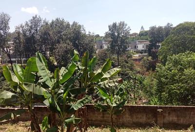 0.8 ac Land at Kitisuru
