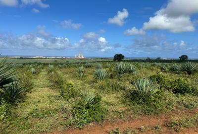 4,047 m² Land in Vipingo