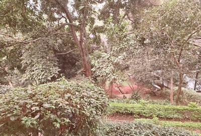 1 ac Land in Spring Valley - 2