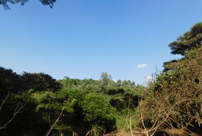 Residential Land in Karen Hardy