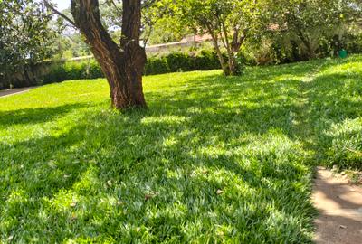 1 ac Commercial Land in Lavington - 4