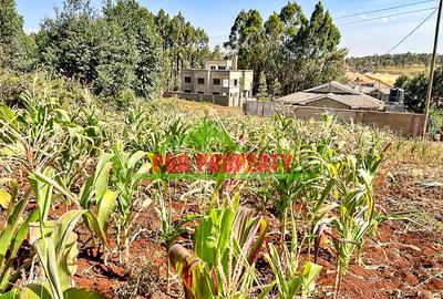 0.1 ha Residential Land at Ondiri - 4