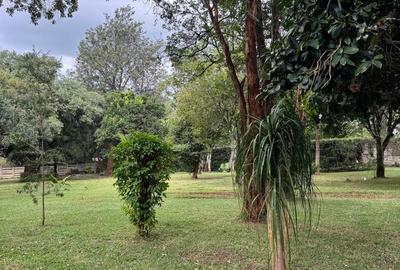 4 Bed House at Near Giraffe Centre - 4