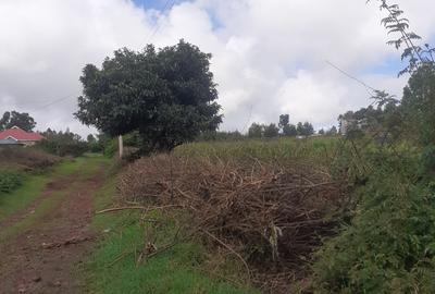 0.125 ac Residential Land in Kamangu - 4