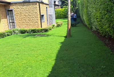 4 Bed Townhouse with En Suite at Kiambu Road - 4